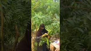 Neem ki chatni #food #hijabi #cooking #recipe #foodie #neem #chatni #cook #hijab