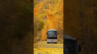 Autumn  #video #automobile #autumn #art #snow #tashkent #music #badbunnyinstrumental #travel