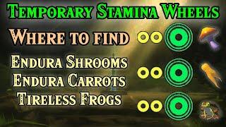 Farming Endura Shrooms, Endura Carrots and Tireless Frogs in BotW for Temporary Stamania