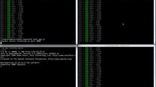 [Learn Code]HAPROXY vs NGINX - 10,000 requests while killing servers