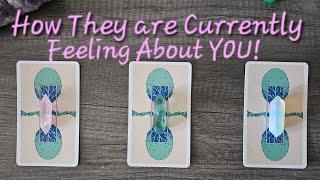 How They are Currently Feeling about YOU!Pick a Card Love ReadingTimeless