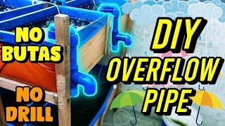 DIY OVERFLOW PIPE | NO DRILLING | POND | AQUARIUM | MOLLY | GUPPY