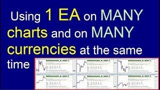 How to use 1 Forex MT4 Expert Advisor trade many currencies, timeframes, settings at the same time