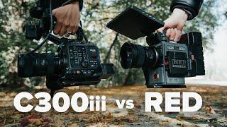 Canon C300 Mark III vs RED
