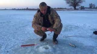 Тарашка зимой на подпуск