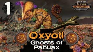 LET THE HUNT BEGIN!! | Oxyotl Immortal Empires | Total War: Warhammer 3 Campaign Part 1