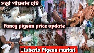 Fancy pigeon price update at Uluberia Pigeon market , uluberia, howrah, West Bengal.