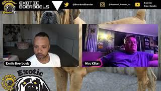 Boerboel Podcast Chat with SABBS Chairman Nico Killian 2024 #boerboels