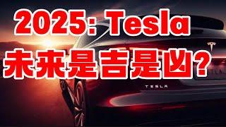 2025: Tesla 未来是吉是凶？