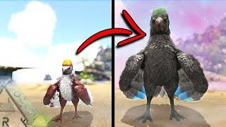 EVOLVING OUR PYGMY ARGY INTO A PRIME | DOX | ARK SURVIVAL EVOLVED EP15