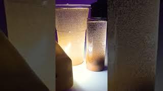 Feeding baby brine shrimp to fish Diy Hatchery fish live food