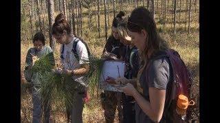 Students study diverse habitats in botany course