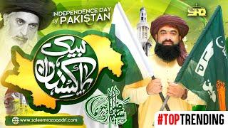 Labbaik Pakistan 14 August National Song | Saleem Raza Qadri TLP Tarana | Pakistan Independence Day