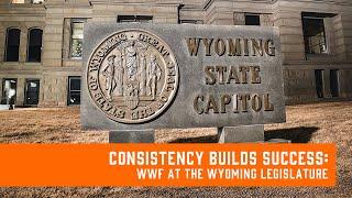 Consistency Builds Success: WWF at the Wyoming Legislature