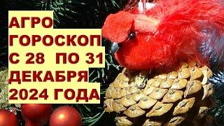 ГОРОСКОП С 28 ПО 31 ДЕКАБРЯ 2024: ЧТО МОЖНО И ЧТО НЕЛЬЗЯ ДЕЛАТЬ?