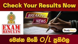 මෙන්න ඔබේ O/L ප්‍රතිඵල ඔබේ අතට ! | 2023 O/L Results Out Now ? | Studyway.lk