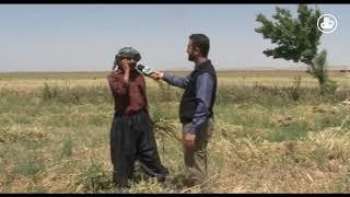 بوی خوش روستا | قسمت 53 | روستای نو آباد| بخش دوم