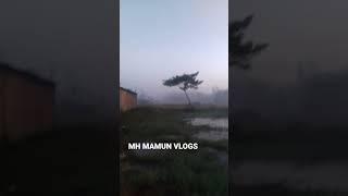 MH MAMUN VLOGS #MH_MAMUN_VLOGS @mhmamunvlogs