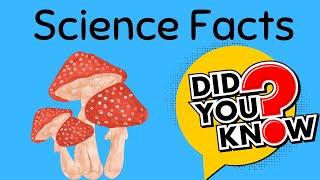 Fun Science Facts