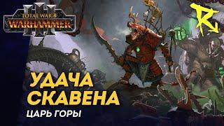 [СТРИМ] Удача Скавена | Царь горы | мультиплеер Total War: Warhammer 3