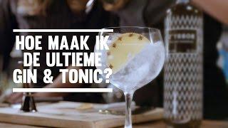 Gin tonic recept: hoe maak je de ultieme zelfgemaakte GT?