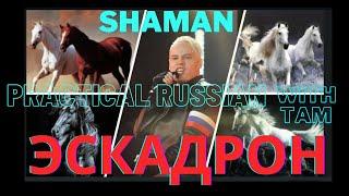 SHAMAN ШАМАН -Эскадрон #shaman #zароссию #шаман #живой  #hitsongs2024 #zапобеду #zапутина #zамир