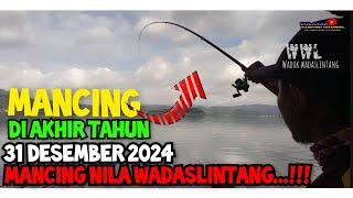 MANCING NILA WADASLINTANG AKHIR TAHUN 2024//MANCING NILA TERBARU