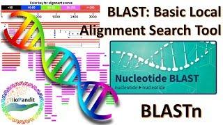 Basic Local Alignment Search Tool: Nucleotide BLAST (BLASTn)