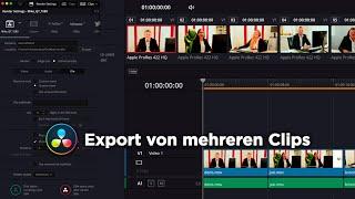 Export von mehreren Clips | DaVinci Resolve 17 Tutorial