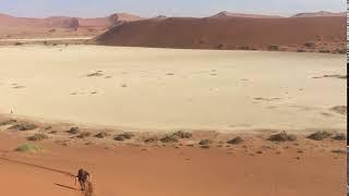 Climbing Big Daddy, Dune 45, the highest in Namibia with Rae Safaris