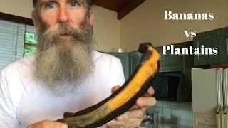 Bananas vs. Plantains for High Carb/ Raw Vegan