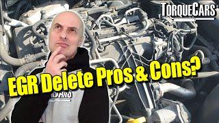 EGR Delete? Pros & Cons of EGR Off or On? Benefits and Drawbacks With & Without EGR