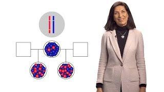 Huda Zoghbi (BCM/TCH) 1: Rett Syndrome: Genomes, Epigenomes and Neuropsychiatric conditions