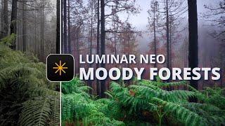 How I Create Moody Forest Photos In Luminar Neo | Nature Editing Tutorial