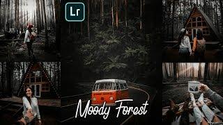 How To Edit Moody Forest | Lightroom Mobile Presets Free DNG