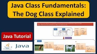 Java Class Fundamentals: The Dog Class Explained | Java Class | Java Tutorial