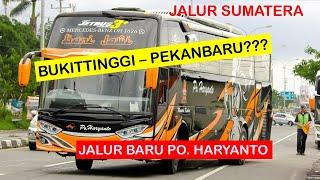 PO Haryanto Buka Trayek Sumatera??? Bukittinggi - Pekanbaru??? Penumpang Full