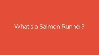 What's a Salmon Runner?