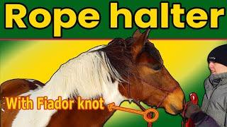 Make a ROPE HALTER for a horse, with FIADOR knot! Step by step tutorial 2024