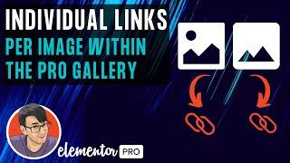 Elementor - Gallery - Add Individual URL Links per Image with simple Code for Free