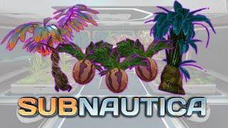 Complete Subnautica Food and Water Tips for Players