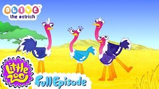 Olive the Ostrich |Series 1 Full Episodes| Kids Cartoons