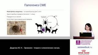 Диденко Ю. Н. - Эрлихиоз - теория и клинические случаи