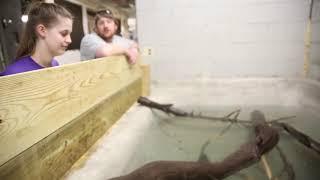 Trading spaces, alligators and turtles on the move @Zoo Knoxville