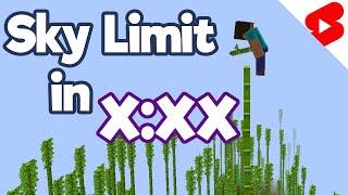 I Speedran to the Sky Limit in Minecraft