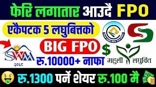 रु.१३०० को शेयर रु.१०० मै किन्ने मौका | upcoming fpo in nepal | laghubitta fpo | upcoming fpo