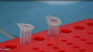 Plant DNA extraction - CTAB Method