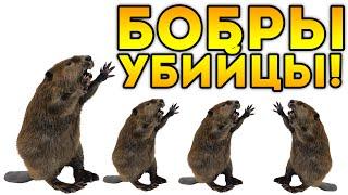 БОБРЫ УБИЙЦЫ!