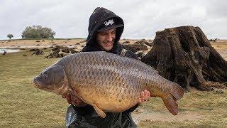 Karpfenangeln am Lac d'Orient!  #freestylefishing