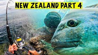 Snapper Spearfishing & Rock Fishing - Far North New Zealand